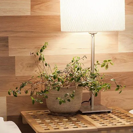 Karolinka シュチルク