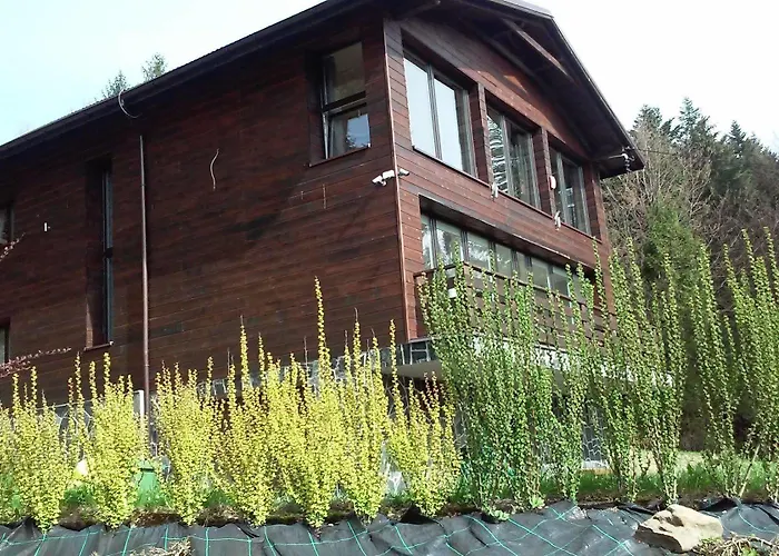 Karolinka Homestay *